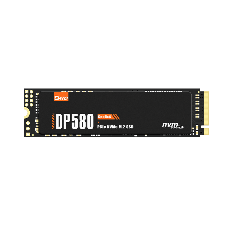 DATO DP580 M.2 2280 PCIe Gen5x4 NVMe SSD